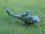 UH-1. T-REX 6.jpg